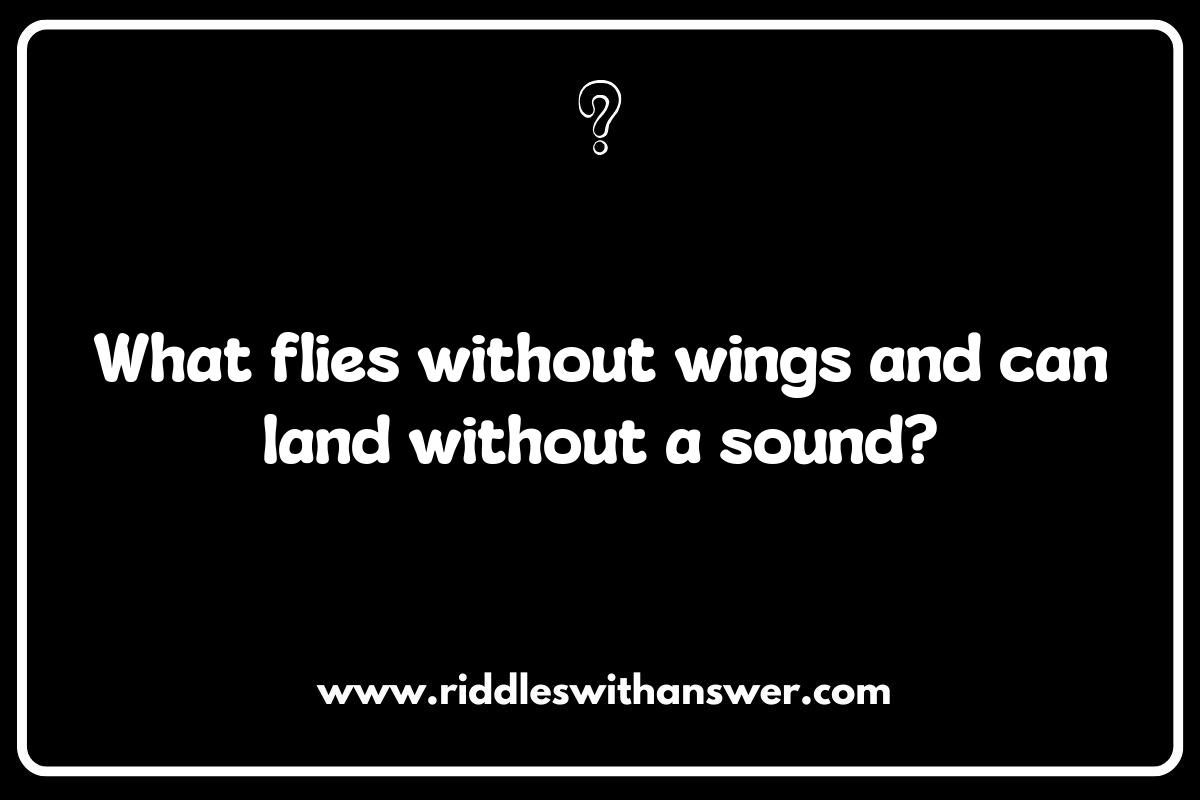 Airplane Riddles That Take Off: Fun for All Ages Airplane Riddles That Take Off: Fun for All Ages