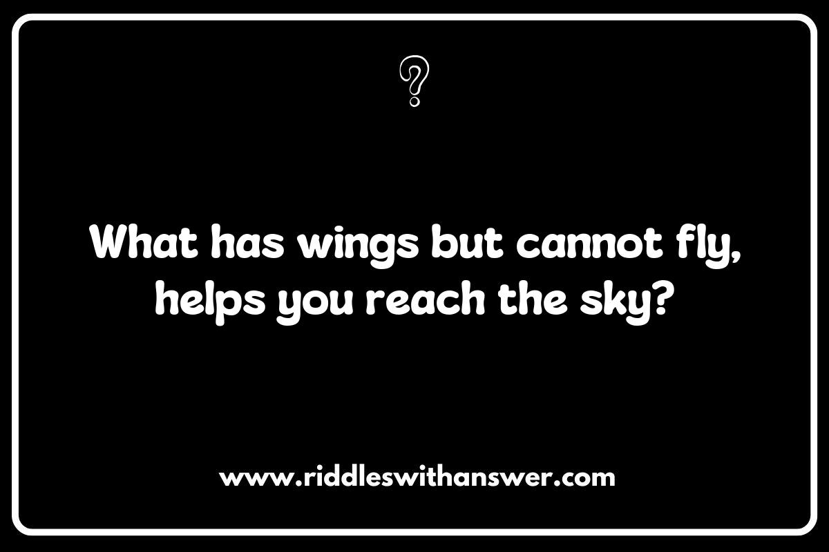 Airplane Safety: Riddles That Take Off with Laughter Airplane Safety: Riddles That Take Off with Laughter