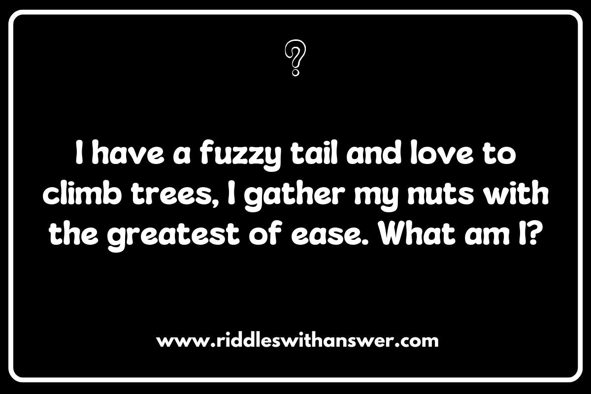Animal-Themed Riddles with Answers for Kids: A Wild Adventure in Riddles Animal-Themed Riddles with Answers for Kids: A Wild Adventure in Riddles