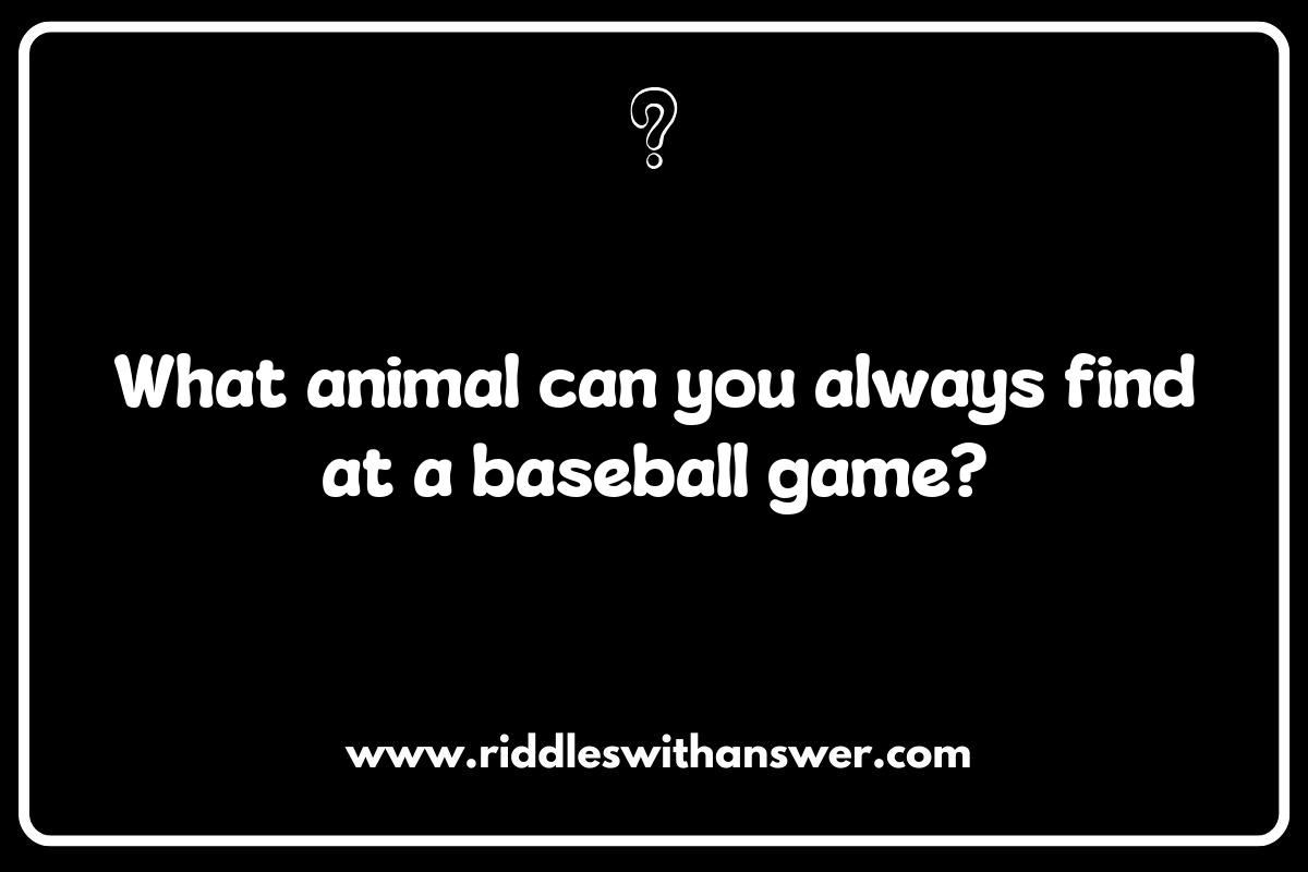 Animal-Themed Silly Riddles: Unleashing Your Inner Child Animal-Themed Silly Riddles: Unleashing Your Inner Child