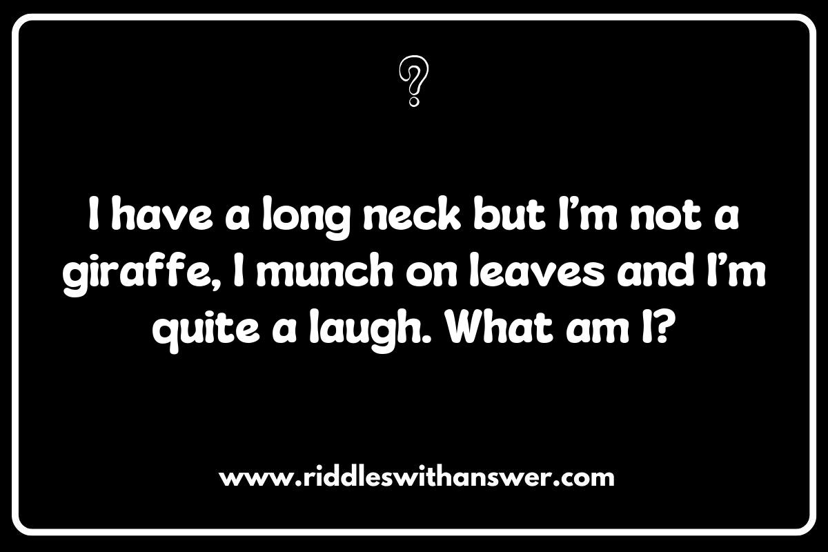 Animal-Themed What Is It Riddles for Nature Lovers Animal-Themed What Is It Riddles for Nature Lovers