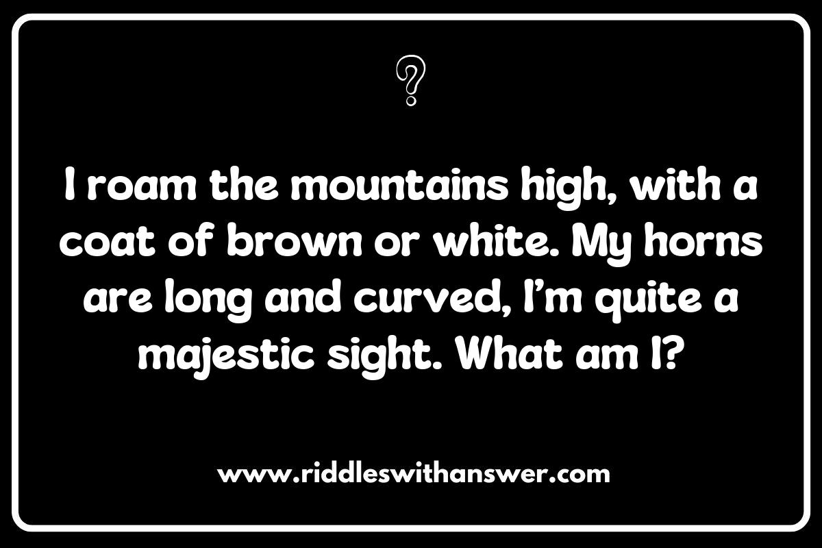 Animal Encounters: Mountain Riddles Featuring Wildlife Animal Encounters: Mountain Riddles Featuring Wildlife