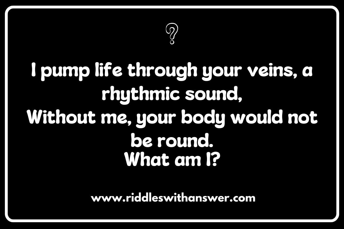 Body Function Body Function