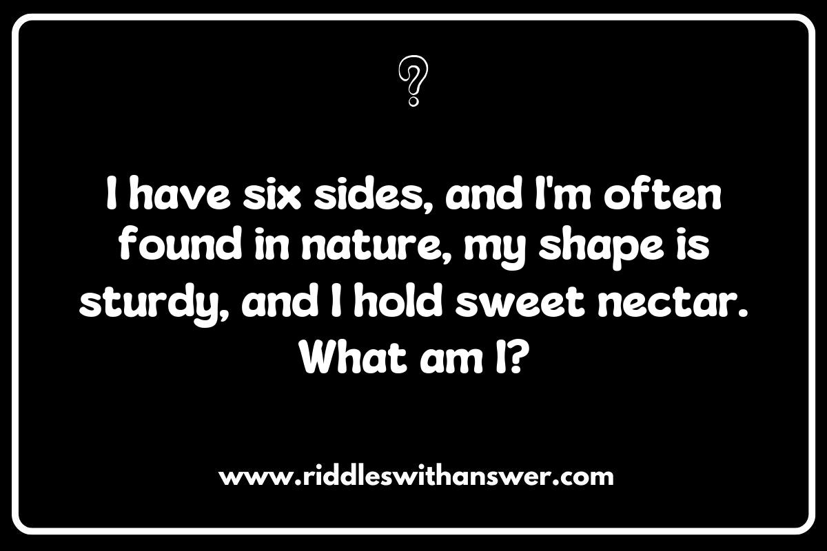 Challenging Your Mind: Hexagon and Octagon Shape Riddles for All Ages Challenging Your Mind: Hexagon and Octagon Shape Riddles for All Ages
