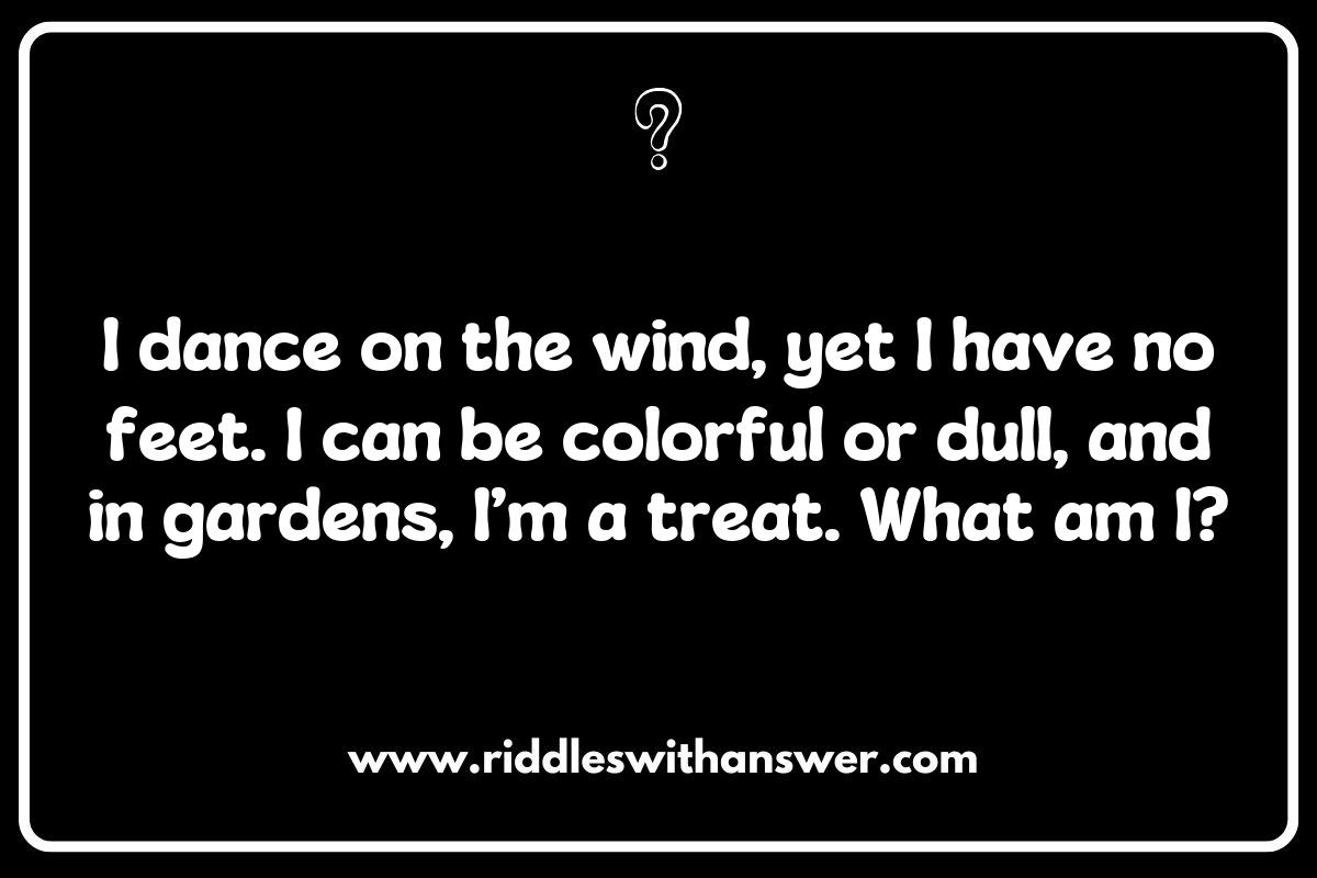 Crafting Creative What is it Nature Riddles for Outdoor Adventures Crafting Creative What is it Nature Riddles for Outdoor Adventures