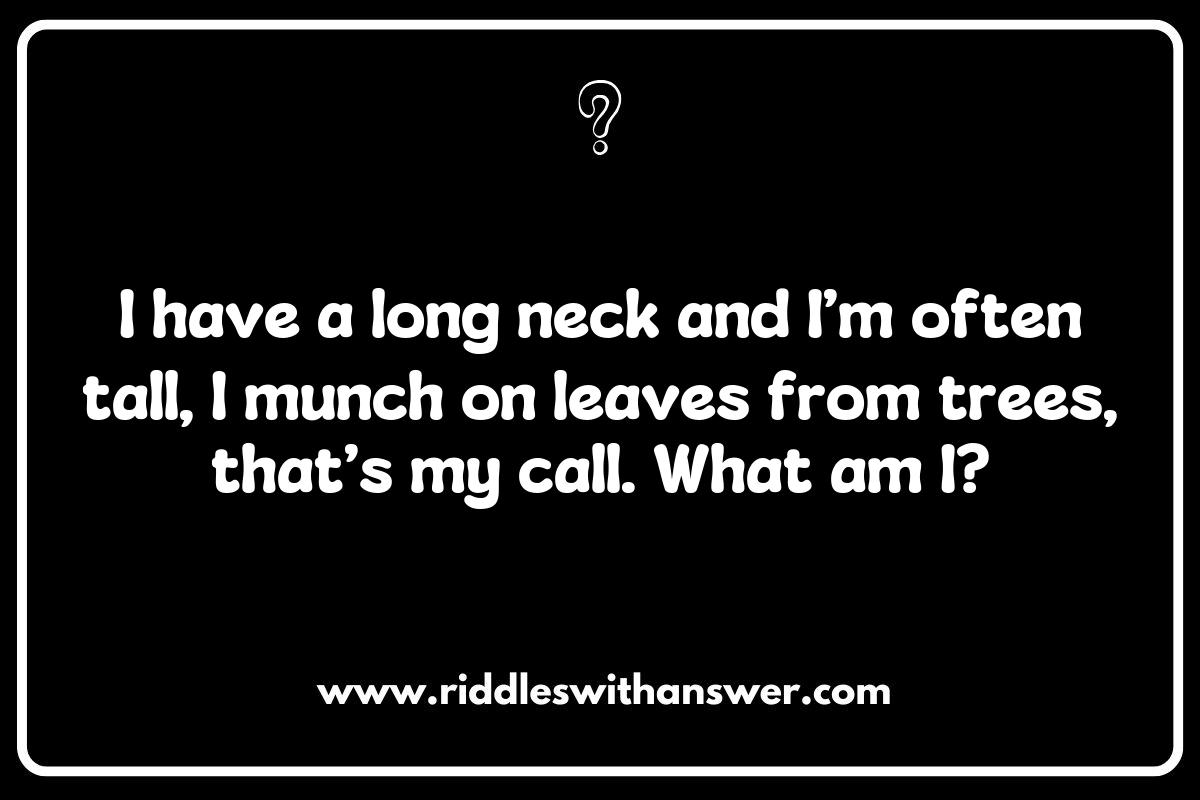 Creating Your Own What is It Animal Riddles for Parties Creating Your Own What is It Animal Riddles for Parties