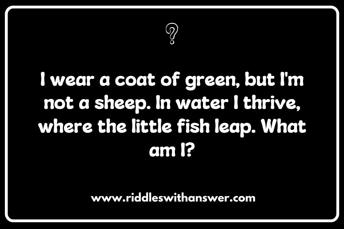 Creative Habitat and Ecosystem Riddles to Foster Awareness and Conservation Creative Habitat and Ecosystem Riddles to Foster Awareness and Conservation