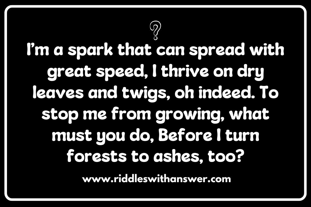 Creative Riddles to Teach Wildfire Prevention Techniques Creative Riddles to Teach Wildfire Prevention Techniques