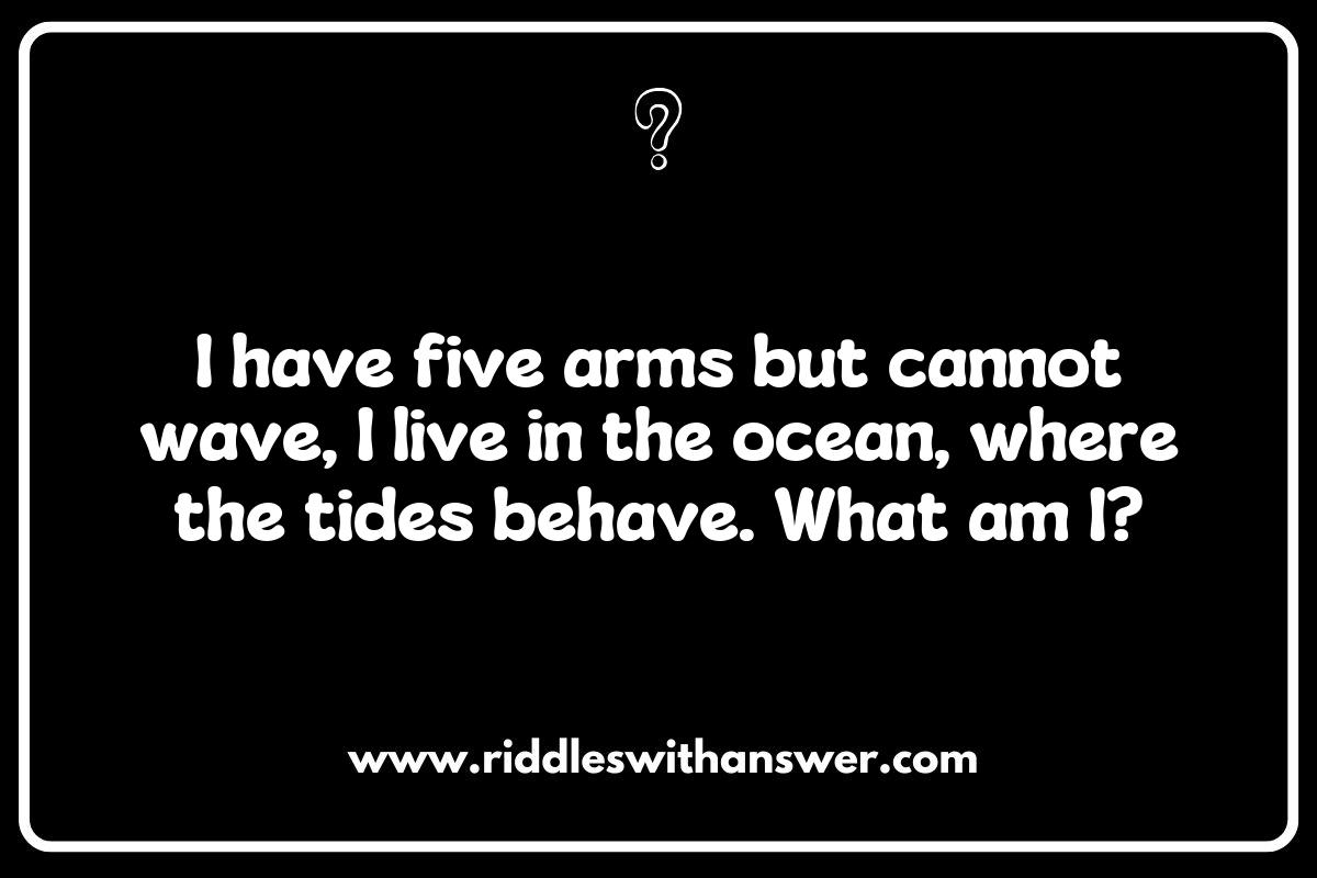 Creative Starfish Riddles for Parties and Gatherings Creative Starfish Riddles for Parties and Gatherings