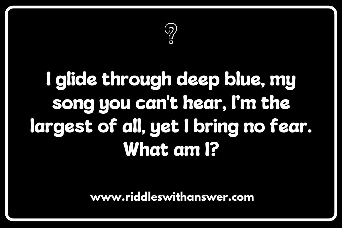 Creative Whale Riddles that Explore Ocean Conservation Creative Whale Riddles that Explore Ocean Conservation