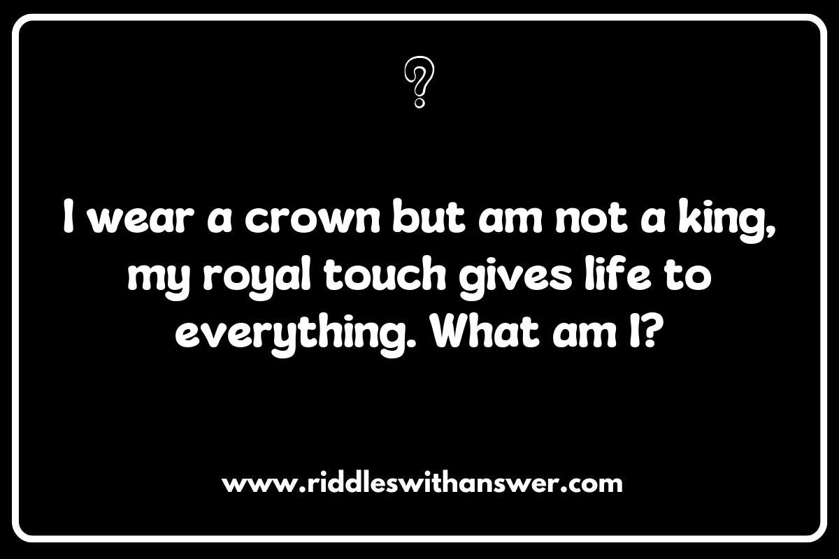 Creative Wordplay in Royal Families Riddles: A Fun Challenge Creative Wordplay in Royal Families Riddles: A Fun Challenge