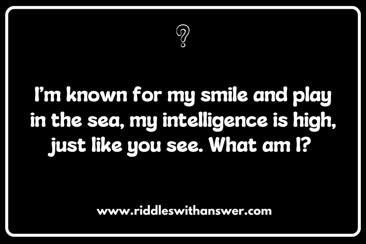 Dolphin Riddles and Facts: Learn While You Play Dolphin Riddles and Facts: Learn While You Play