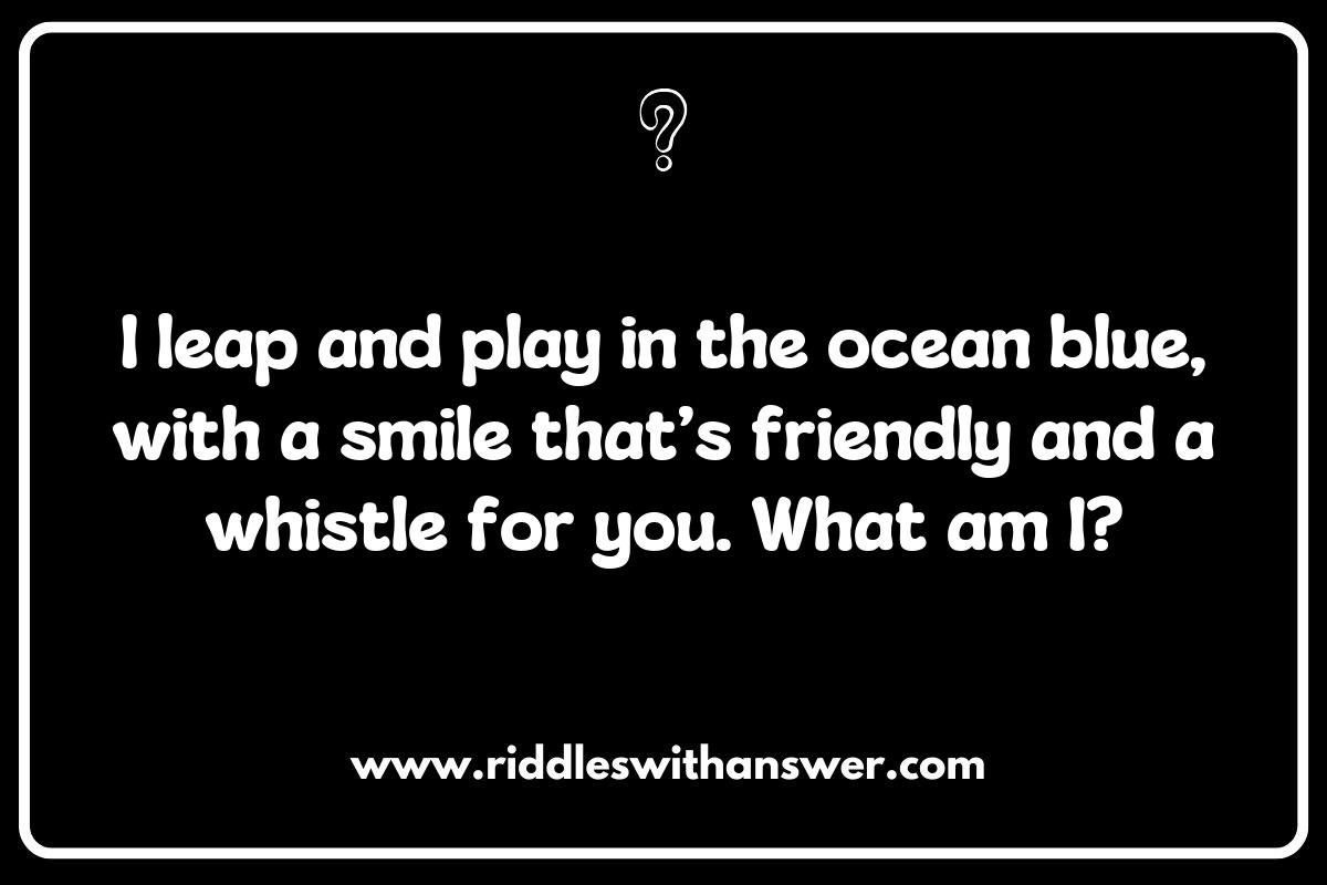 Dolphin Riddles with Answers: Solve These Aquatic Puzzles Dolphin Riddles with Answers: Solve These Aquatic Puzzles