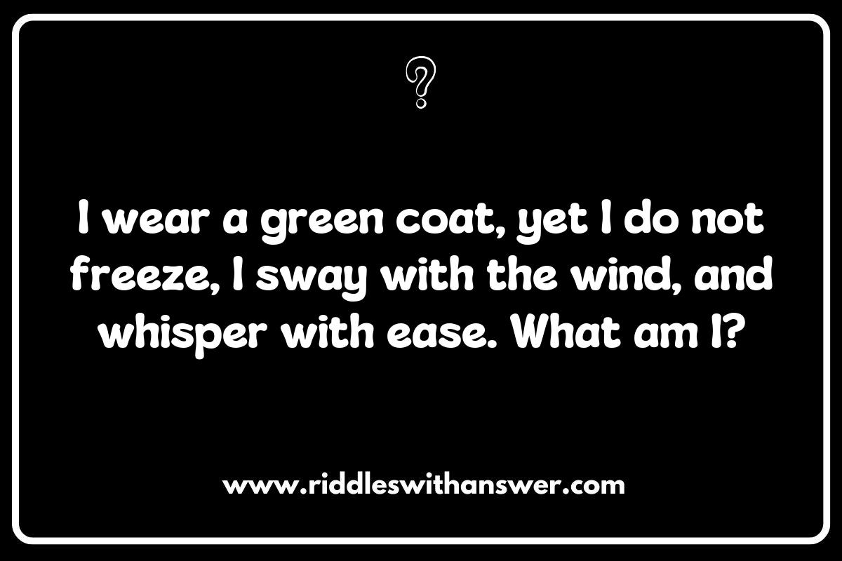 Eco-Friendly Fun: Educational Forest Riddles for Environmental Awareness Eco-Friendly Fun: Educational Forest Riddles for Environmental Awareness