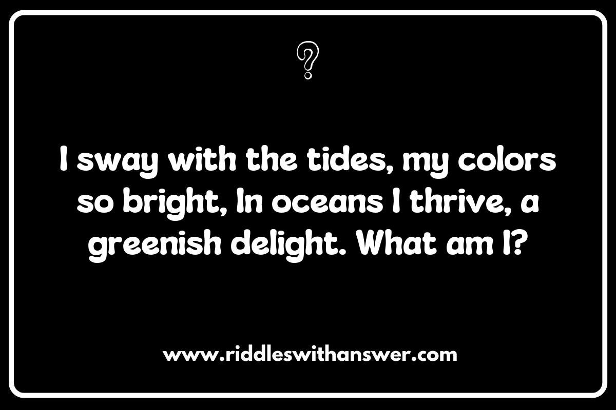 Eco-Friendly Marvels: Riddles Celebrating Seaweed and Kelp Sustainability Eco-Friendly Marvels: Riddles Celebrating Seaweed and Kelp Sustainability