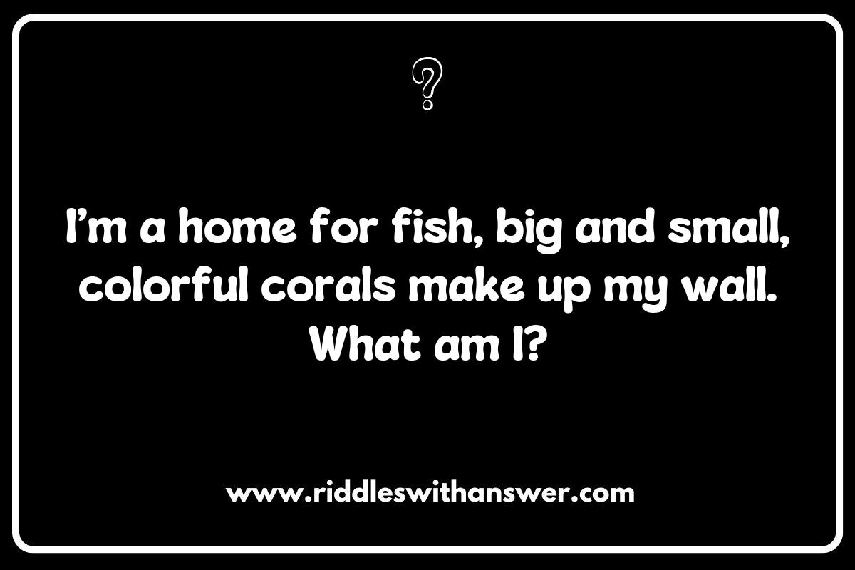 Educational Coral Reef Riddles to Inspire Young Minds Educational Coral Reef Riddles to Inspire Young Minds