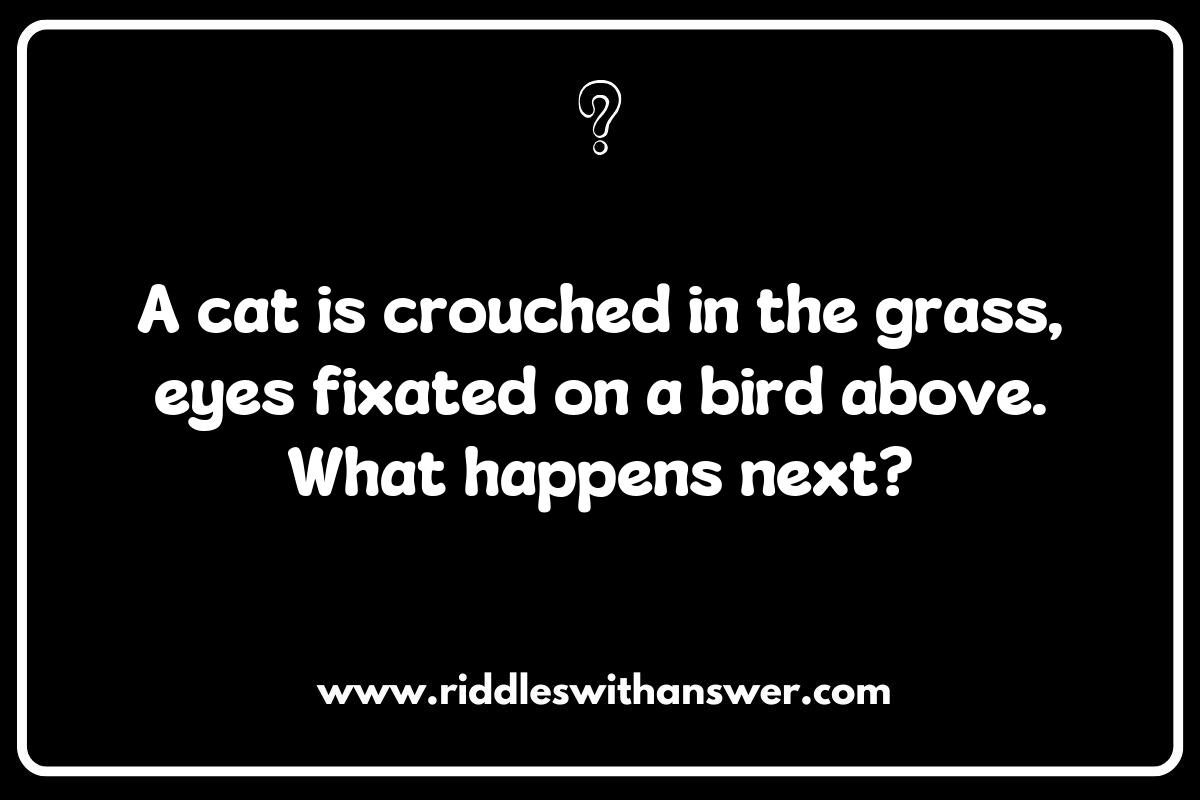 Exploring Different Formats of What Happens Next Visual Riddles: From Still Images to Animated Sequences Exploring Different Formats of What Happens Next Visual Riddles: From Still Images to Animated Sequences