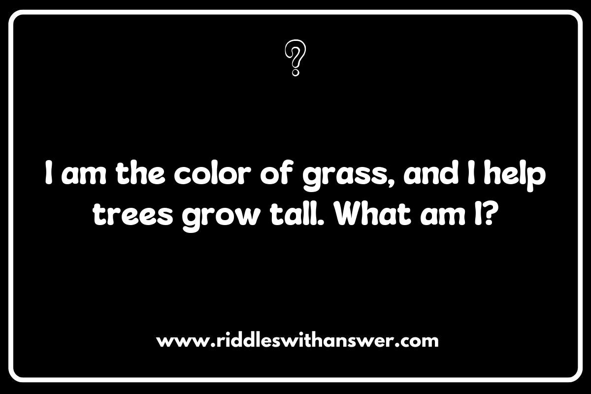 Exploring Nature: Color Riddles for Kids Inspired by the Great Outdoors Exploring Nature: Color Riddles for Kids Inspired by the Great Outdoors