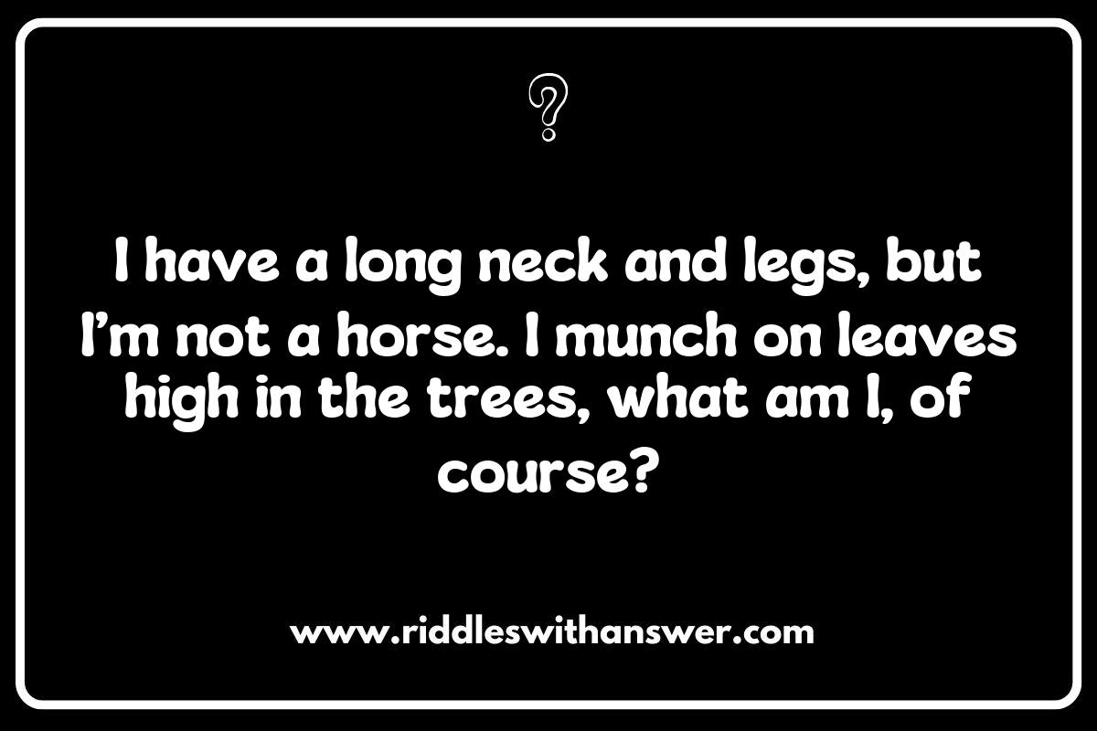 Exploring Nature: Easy What Is It Riddles About Animals Exploring Nature: Easy What Is It Riddles About Animals