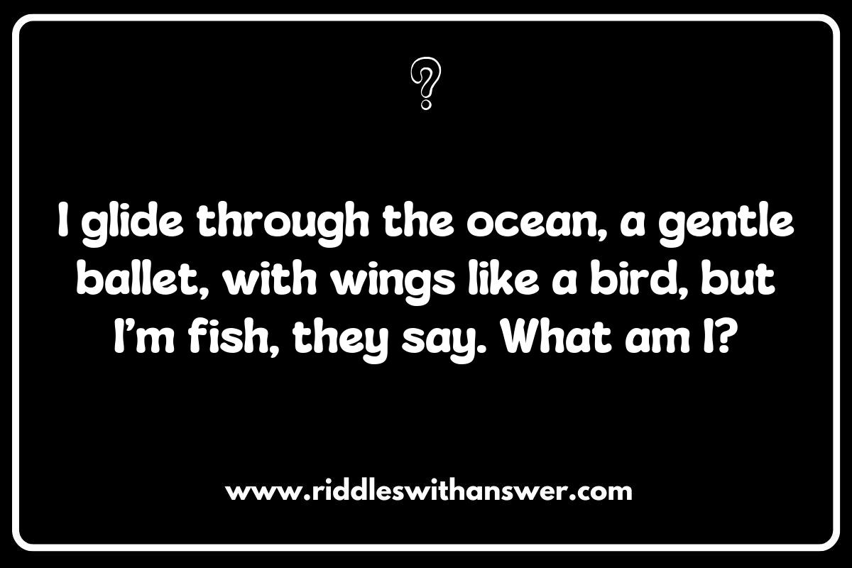 Exploring the Ecosystem: Manta Ray Riddles and Their Habitats Exploring the Ecosystem: Manta Ray Riddles and Their Habitats
