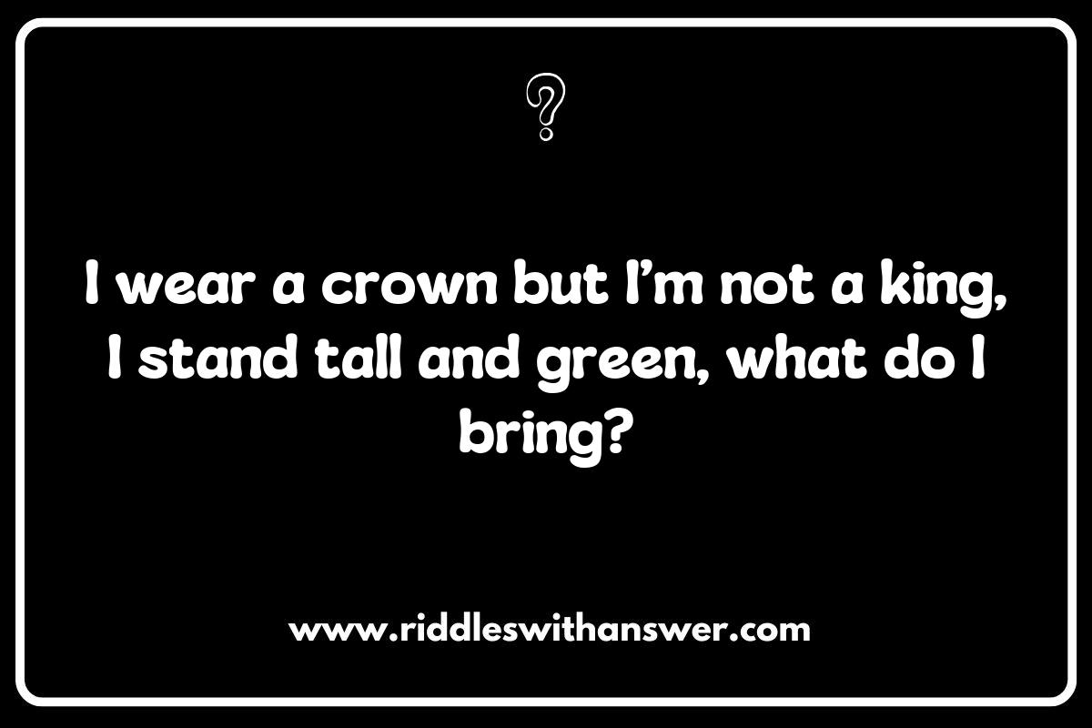 Exploring the Mysteries of Enchanted Forest Riddles Exploring the Mysteries of Enchanted Forest Riddles