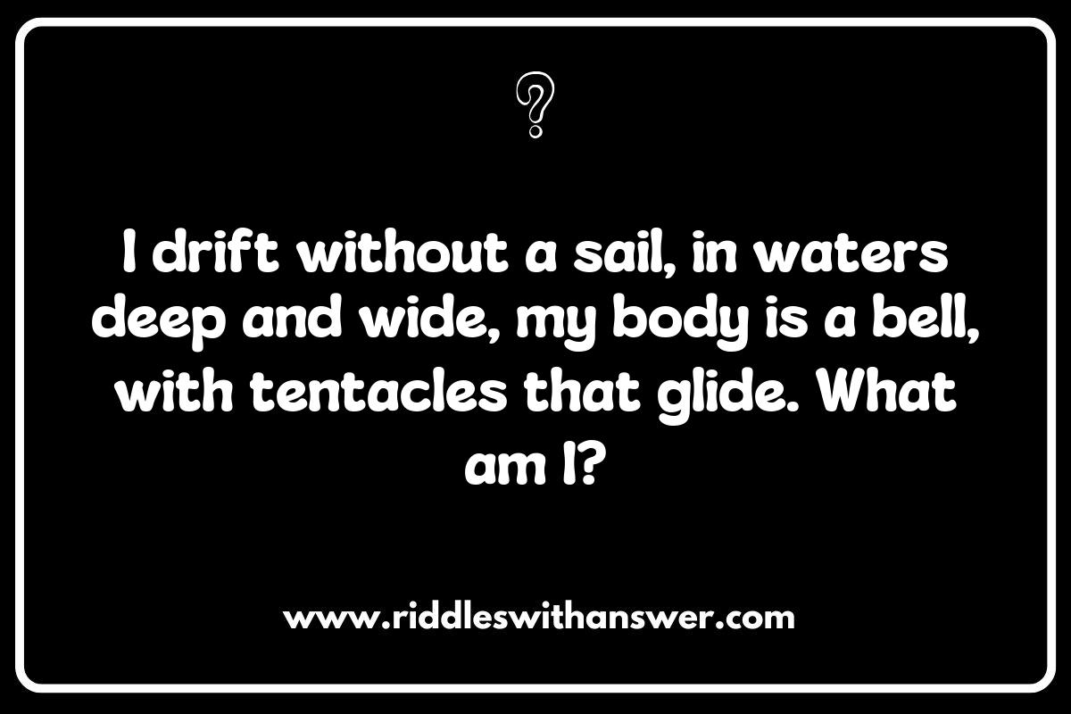 Exploring the Mysteries of Jellyfish Riddles Exploring the Mysteries of Jellyfish Riddles