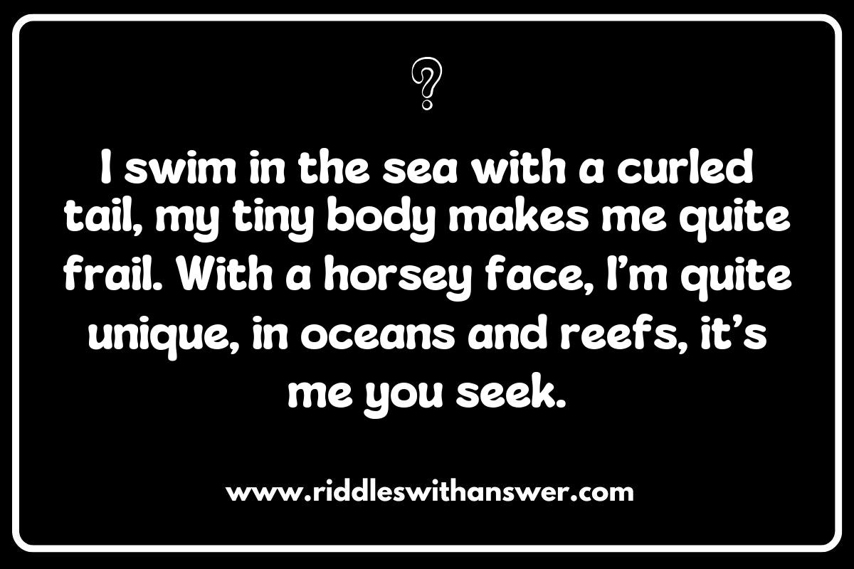 Exploring the Ocean: Seahorse Riddles for Kids Exploring the Ocean: Seahorse Riddles for Kids