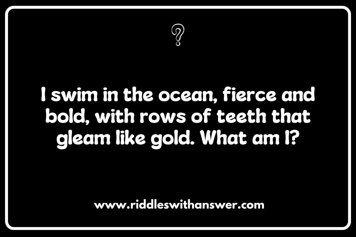 Exploring the Teeth of the Sea: Fun Shark Riddles for Kids Exploring the Teeth of the Sea: Fun Shark Riddles for Kids