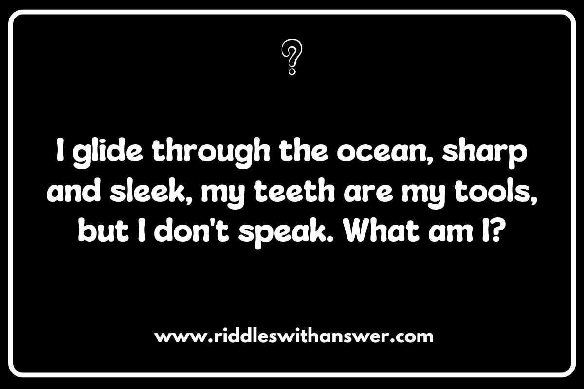Fin-tastic Shark Riddles to Challenge Your Friends Fin-tastic Shark Riddles to Challenge Your Friends
