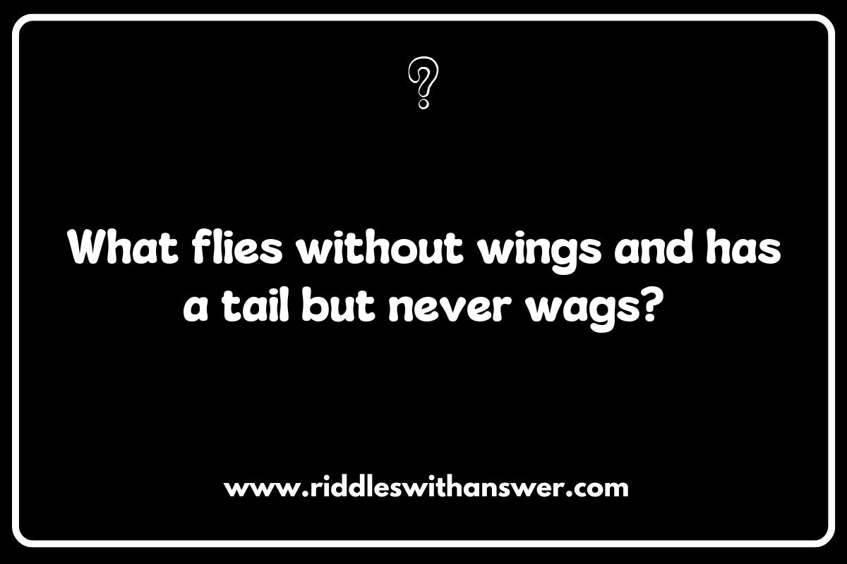 Flight Attendant Funnies: Riddles Featuring Airplanes and Their Crew Flight Attendant Funnies: Riddles Featuring Airplanes and Their Crew