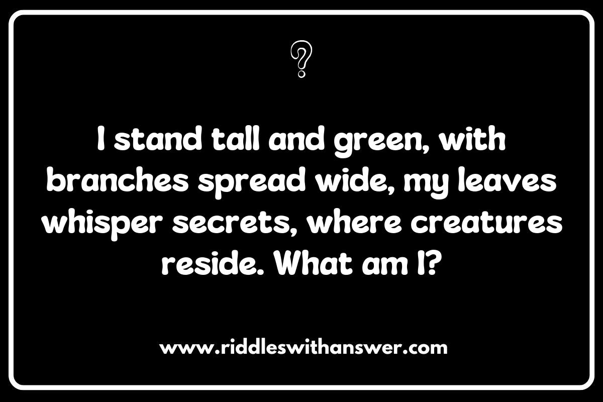 Forest Adventures: Riddles About Hiking and Exploring Green Trails Forest Adventures: Riddles About Hiking and Exploring Green Trails