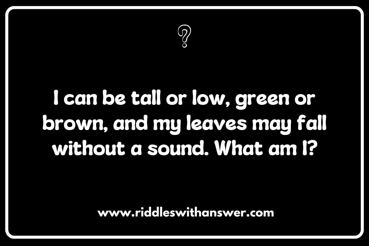 Forest Survival: Riddles That Test Knowledge of Wilderness Skills Forest Survival: Riddles That Test Knowledge of Wilderness Skills