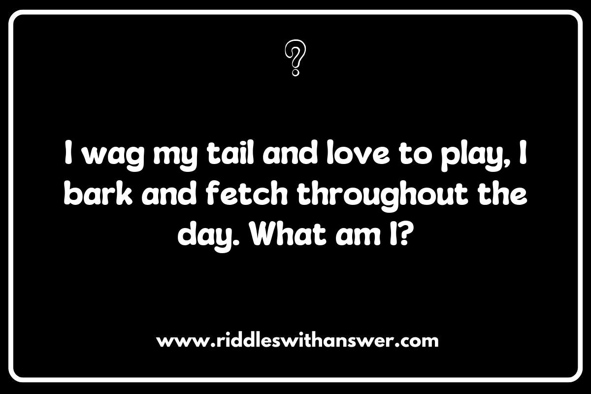 Fun Veterinarian Riddles for Kids to Learn About Animal Health Fun Veterinarian Riddles for Kids to Learn About Animal Health