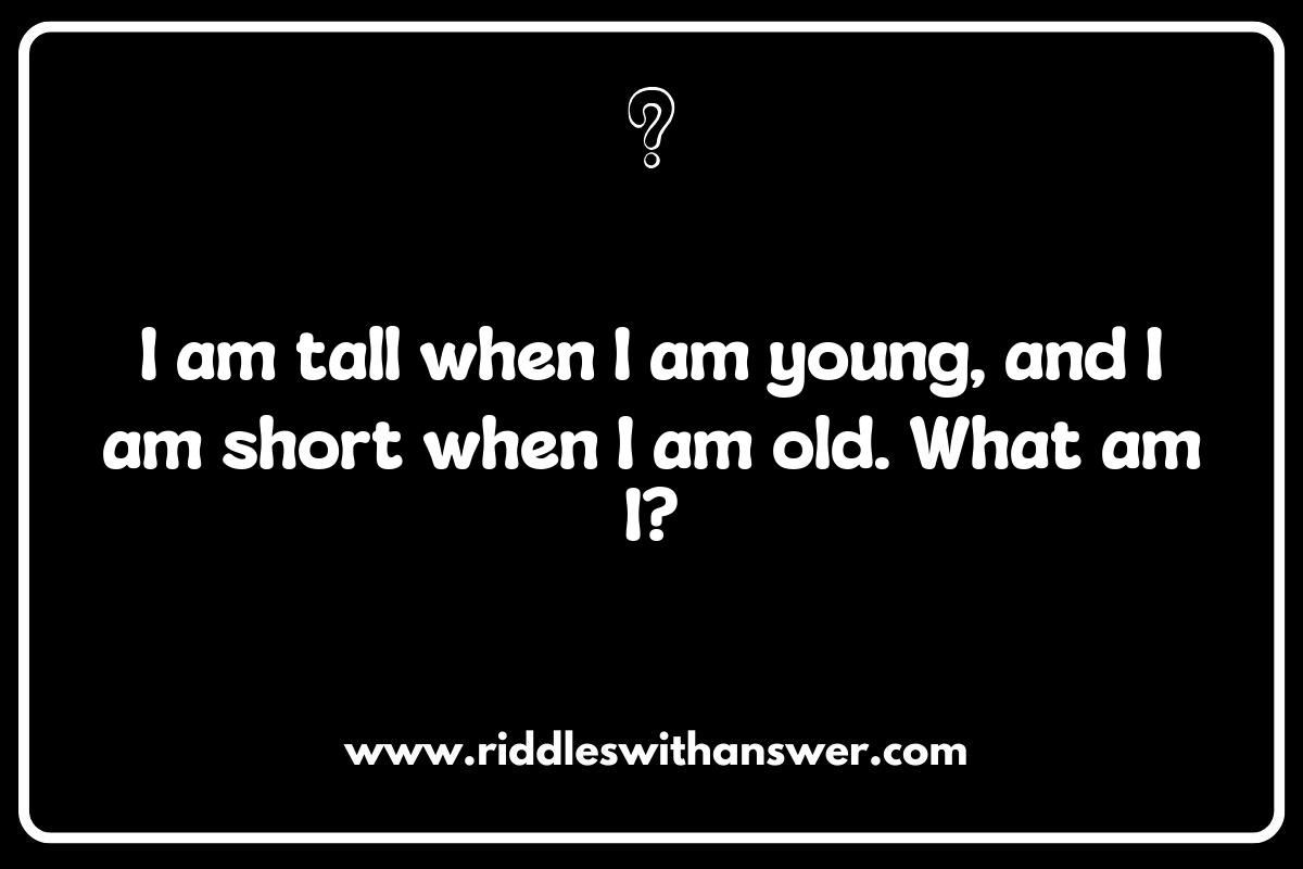 Fun What Am I Riddles for Kids: Engaging Puzzles for Young Minds Fun What Am I Riddles for Kids: Engaging Puzzles for Young Minds