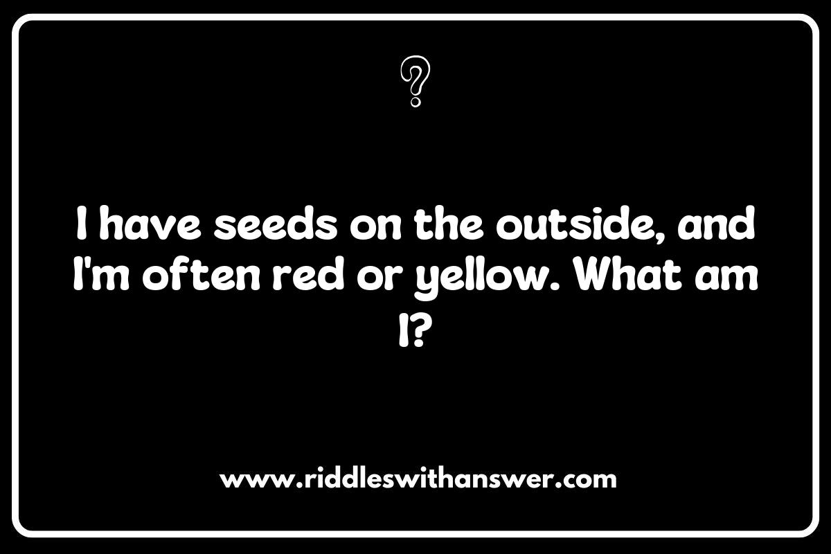 Fun What Am I Riddles for Kids: Funny and Silly Riddles to Spark Laughter Fun What Am I Riddles for Kids: Funny and Silly Riddles to Spark Laughter