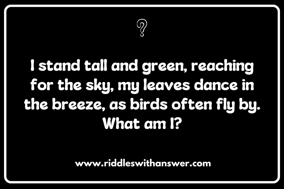 Fun What Am I Riddles for Kids: Nature-inspired Mysteries to Explore the Outdoors Fun What Am I Riddles for Kids: Nature-inspired Mysteries to Explore the Outdoors