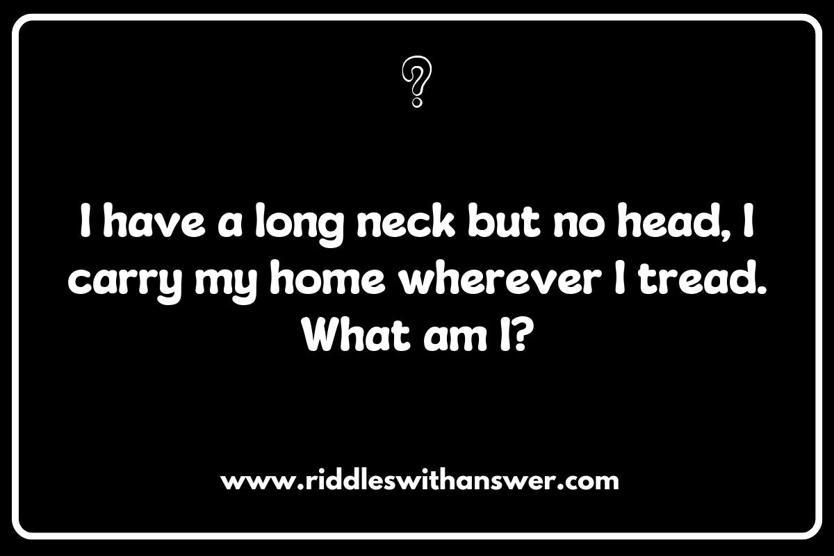 How to Create Your Own What Am I Animal Riddles: Tips and Tricks How to Create Your Own What Am I Animal Riddles: Tips and Tricks