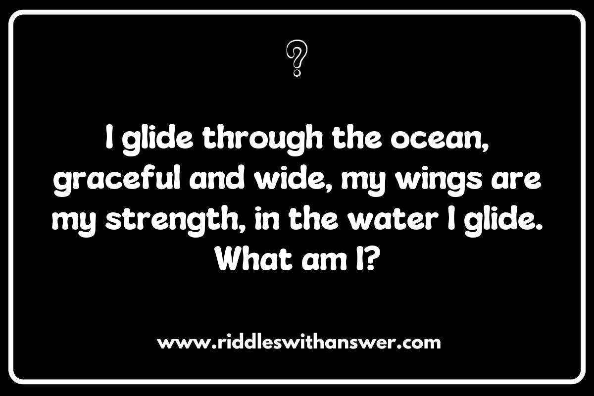 How to Use Manta Ray Riddles for Team-Building Activities and Games How to Use Manta Ray Riddles for Team-Building Activities and Games