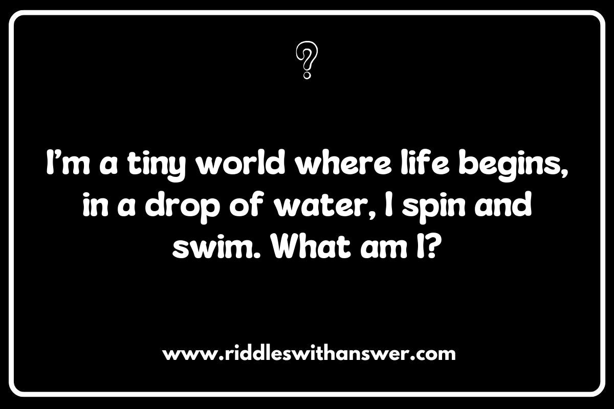 Innovative Riddles Inspired by Groundbreaking Research Innovative Riddles Inspired by Groundbreaking Research
