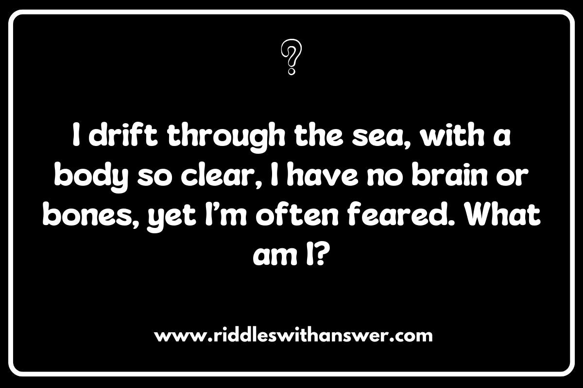 Jellyfish Riddles: A Dive into Ocean Trivia Jellyfish Riddles: A Dive into Ocean Trivia