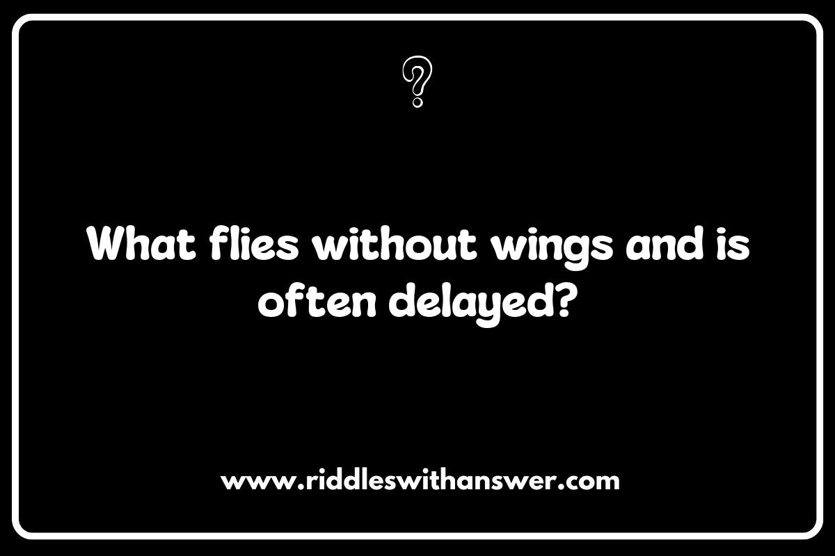 Jet-Setting Humor: Witty Plane and Air Travel Riddles for Frequent Flyers Jet-Setting Humor: Witty Plane and Air Travel Riddles for Frequent Flyers