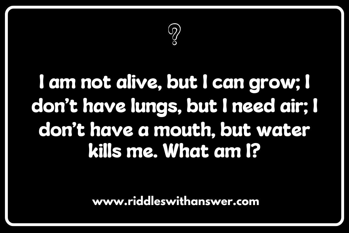 Long Riddles for Adults: A Fun Way to Stimulate Creativity and Imagination Long Riddles for Adults: A Fun Way to Stimulate Creativity and Imagination