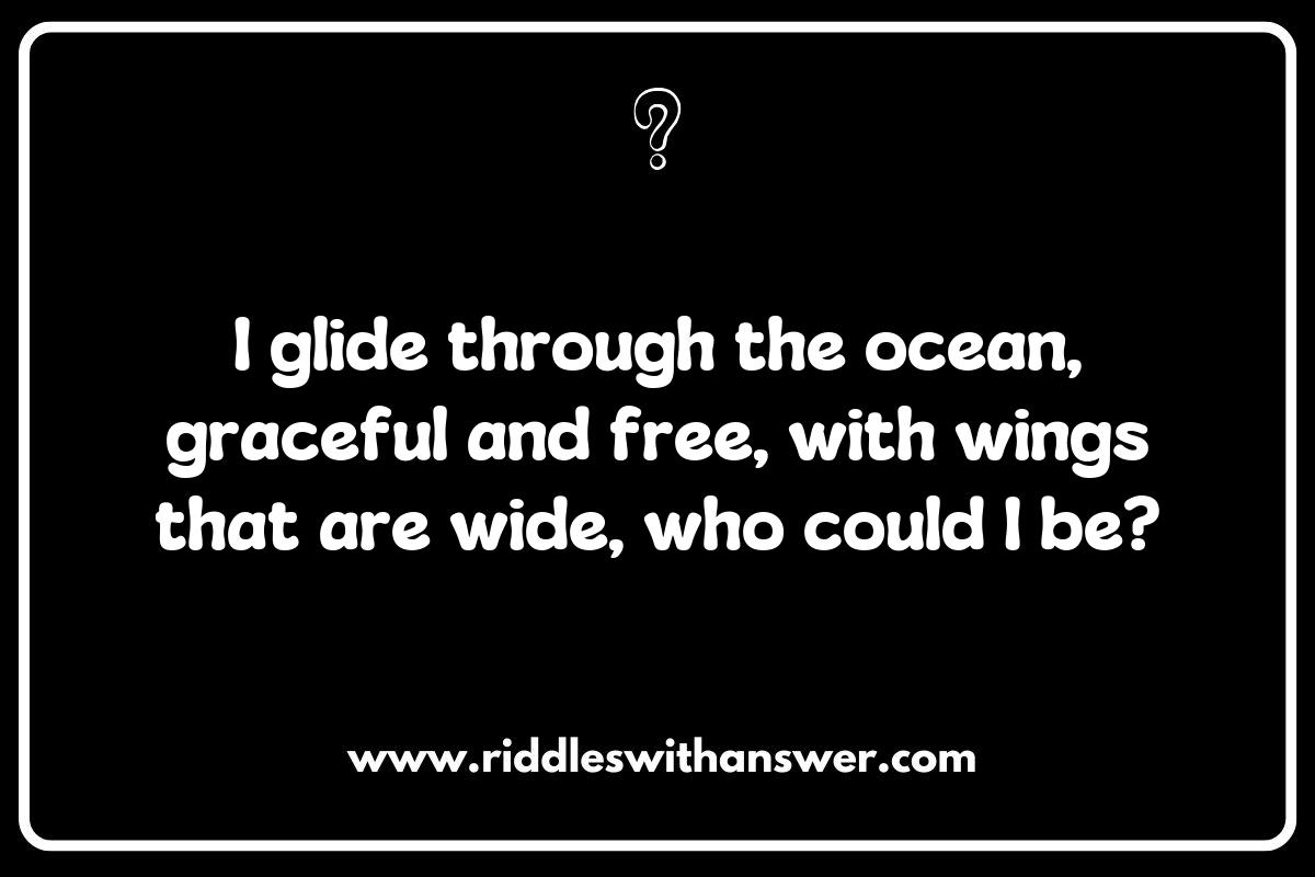 Manta Ray Riddles: Dive into the Depths of Ocean Mysteries Manta Ray Riddles: Dive into the Depths of Ocean Mysteries