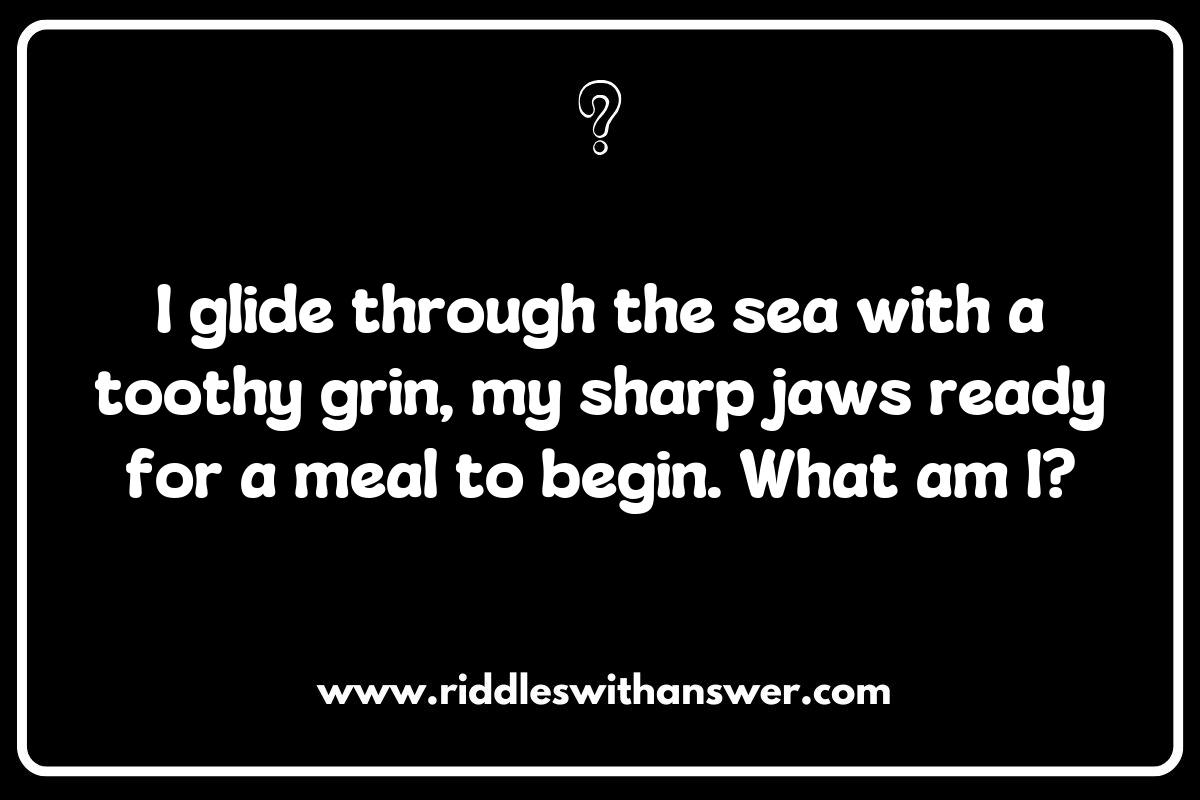 Mysteries of the Deep: Brain-Teasing Shark Riddles Mysteries of the Deep: Brain-Teasing Shark Riddles