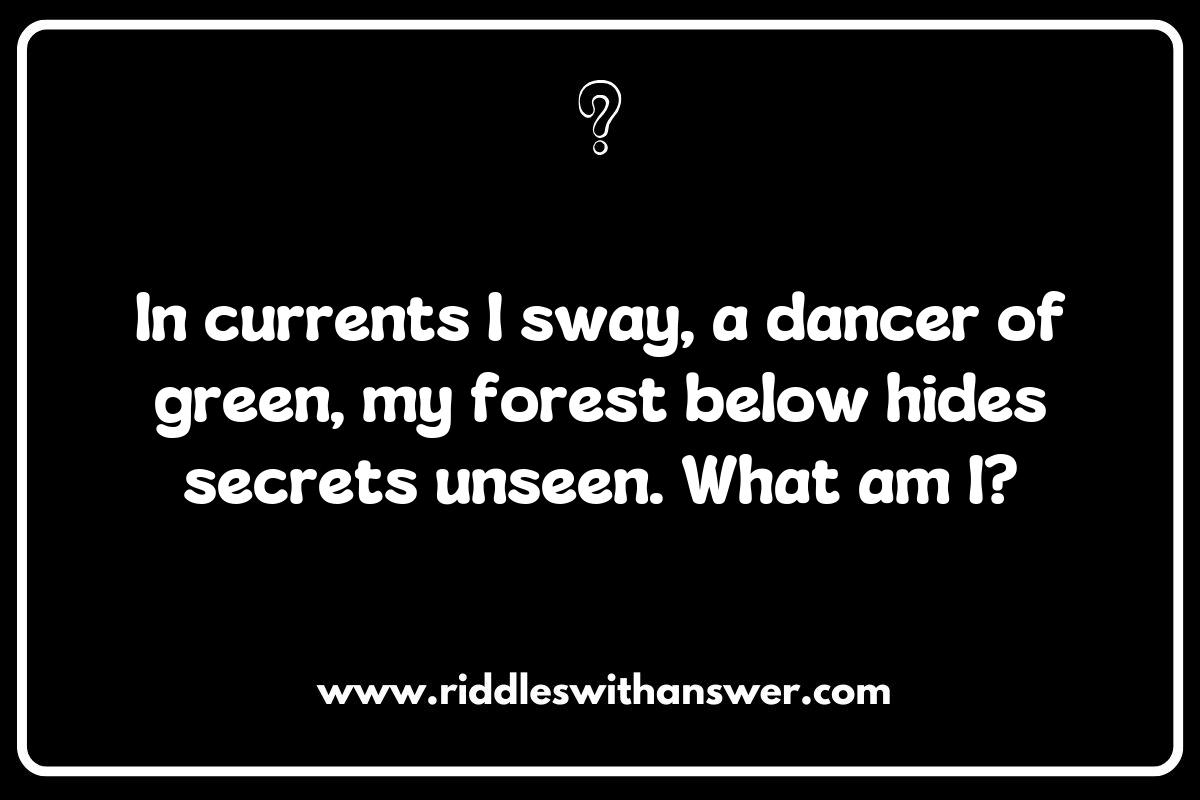 Mystical Creatures: Riddles Inspired by Seaweed and Kelp Mystical Creatures: Riddles Inspired by Seaweed and Kelp