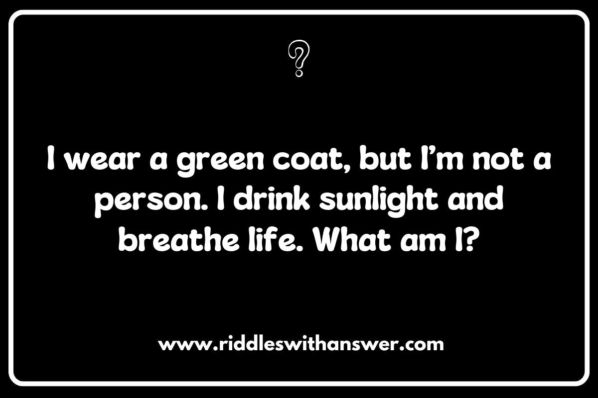Plant Life and Rainforest Riddles: Green Enigmas from the Canopy Plant Life and Rainforest Riddles: Green Enigmas from the Canopy
