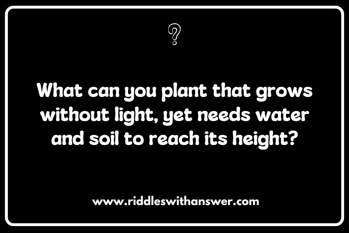 Plants and Their Preferences: Intriguing Soil and Gardening Riddles Plants and Their Preferences: Intriguing Soil and Gardening Riddles