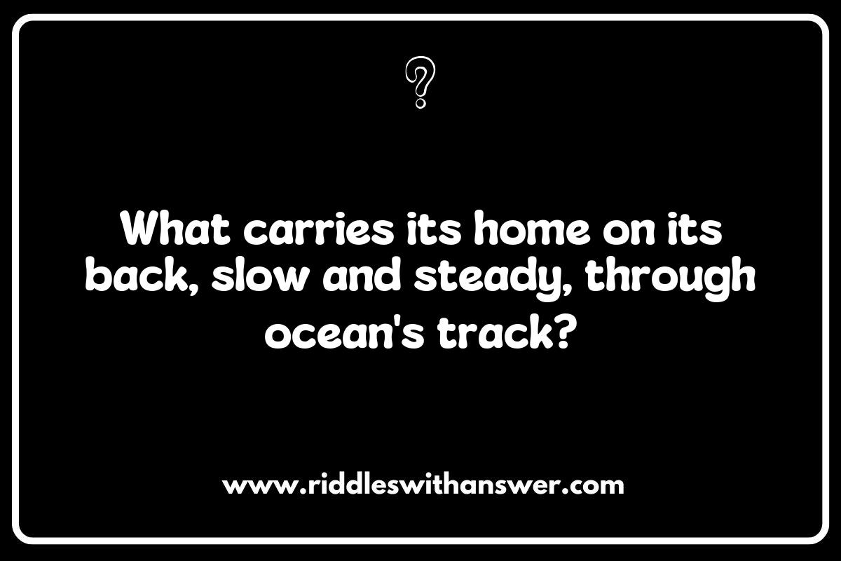 Playful Sea Turtle Riddles to Spark Imagination Playful Sea Turtle Riddles to Spark Imagination