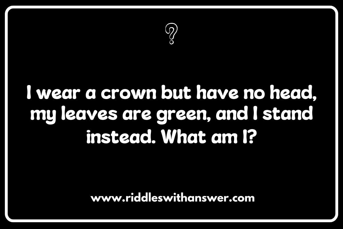 Rainforest Riddles for Kids: Fun and Educational Puzzles Rainforest Riddles for Kids: Fun and Educational Puzzles
