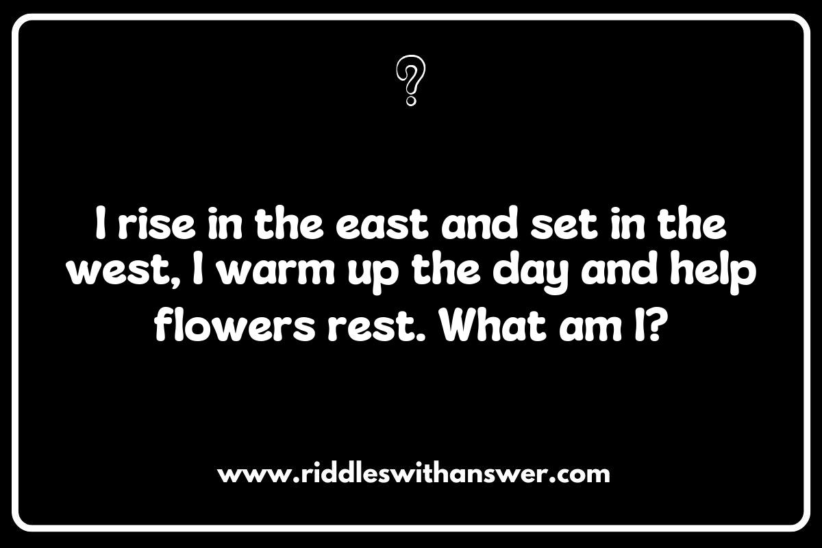 Riddles About Sunshine and Warm Weather: A Playful Way to Increase Positivity Riddles About Sunshine and Warm Weather: A Playful Way to Increase Positivity